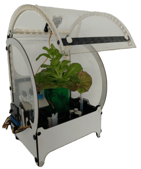 Σύντομο Πρόγραμμα: STEM Roots – Υδροπονική Καλλιέργεια στην τάξη [GR]